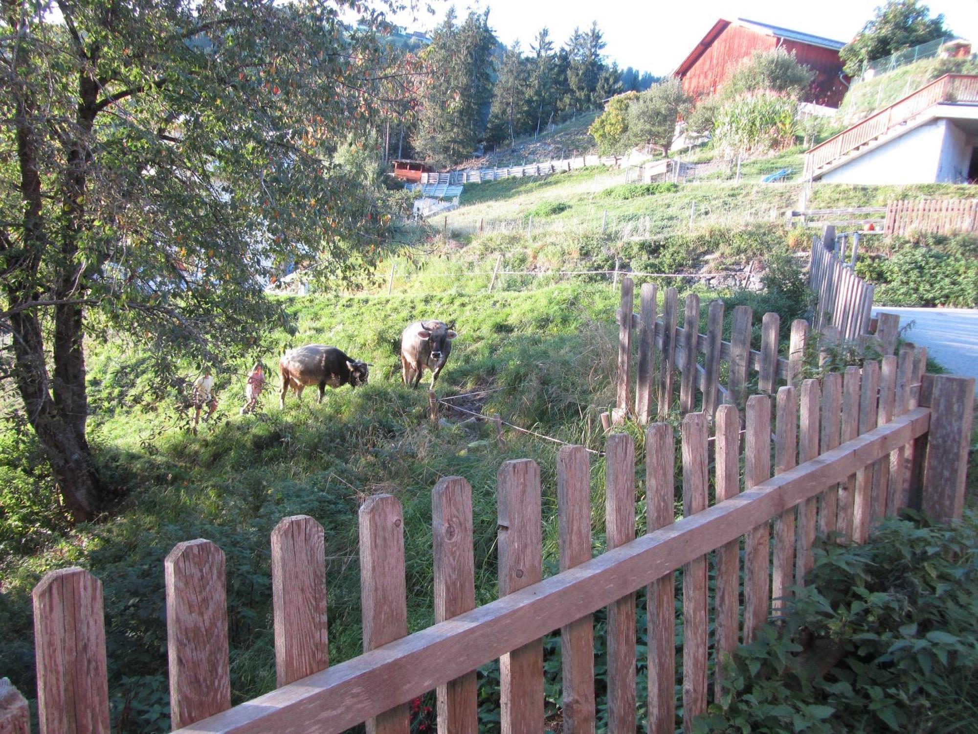 Haus Lentsch Apartment Kaunerberg Luaran gambar